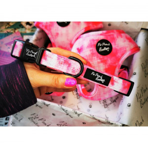 at13-XS